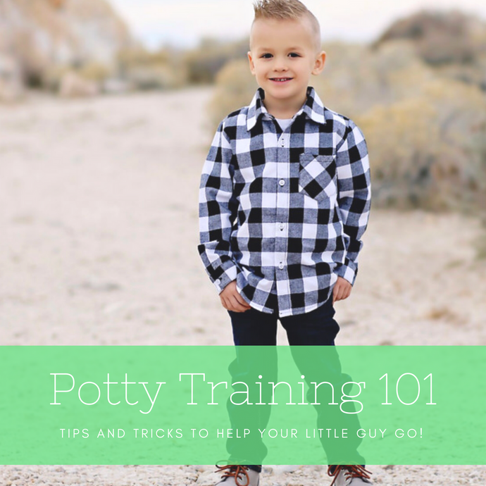 Potty Training 101! 3 simple tips to get your wee one going!